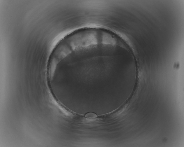 X0000110691327200907021924