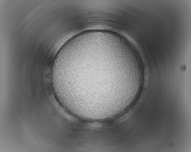 X0000110691329200907021924