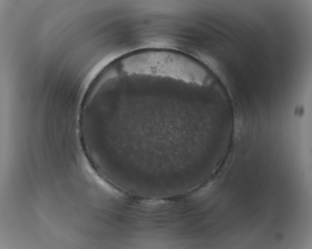 X0000110691331200907021924