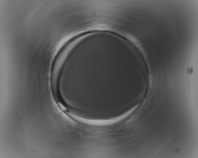 X0000110691334200907021925