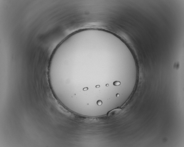 X0000110691336200907021925