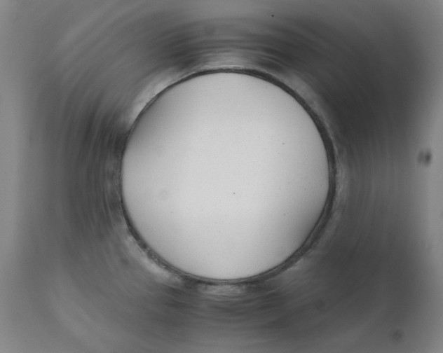 X0000110691337200907021925