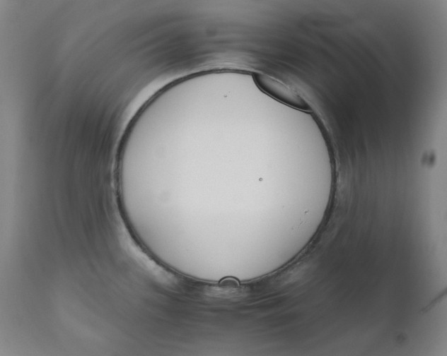 X0000110691339200907021925