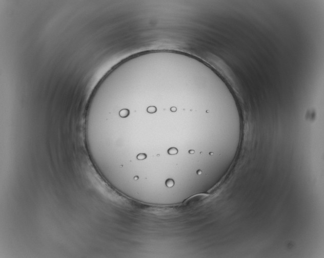 X0000110691340200907021925