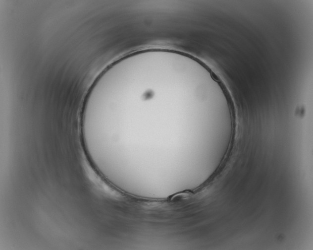 X0000110691341200907021925