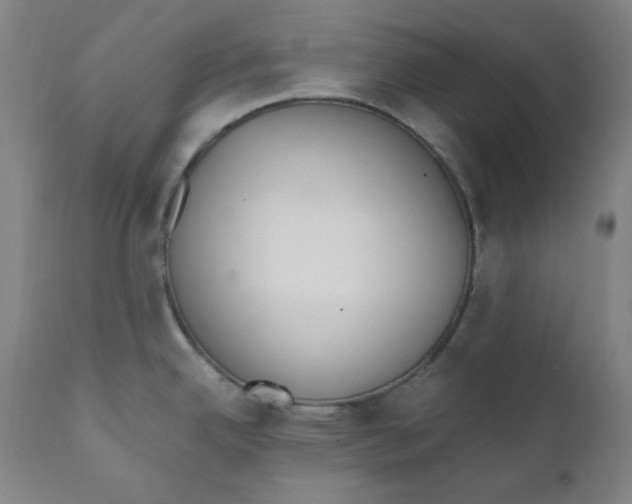 X0000110691342200907021925