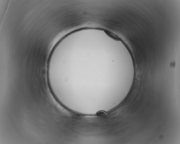 X0000110691343200907021925