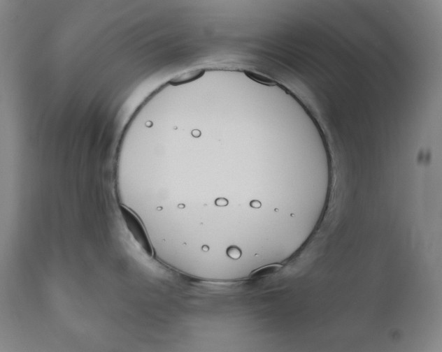 X0000110691344200907021925