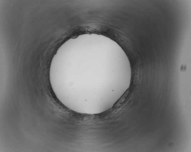 X0000110691345200907021924