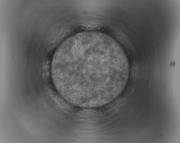 X0000110691346200907021924