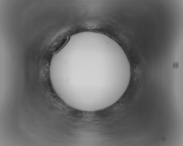 X0000110691349200907021924