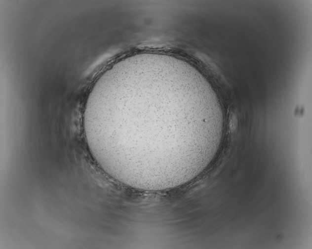 X0000110691350200907021924