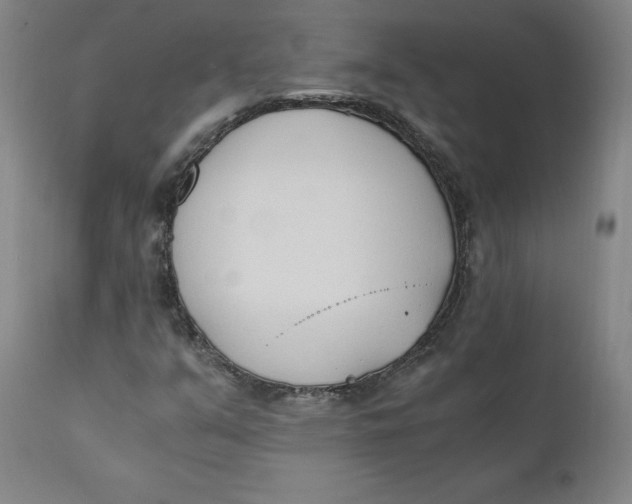 X0000110691351200907021924