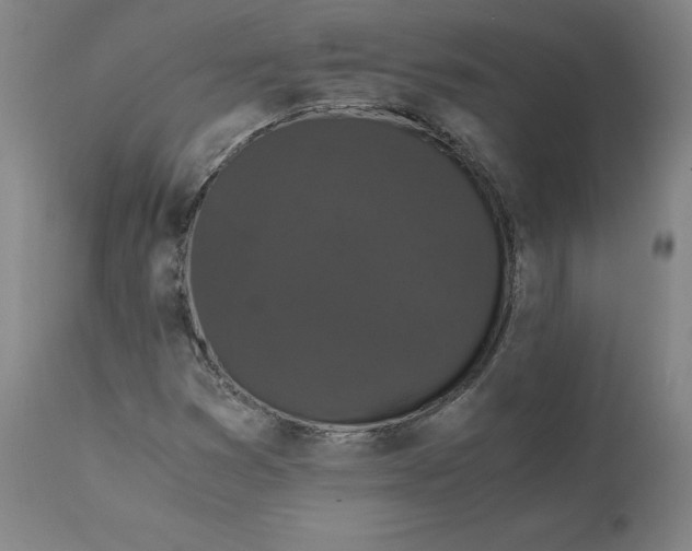 X0000110691353200907021924