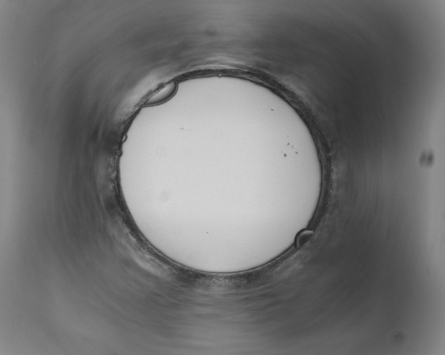 X0000110691355200907021924