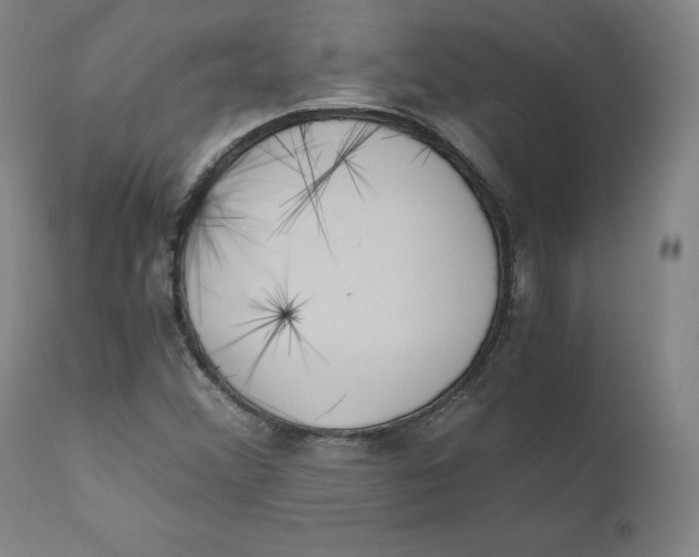 X0000110691356200907021924