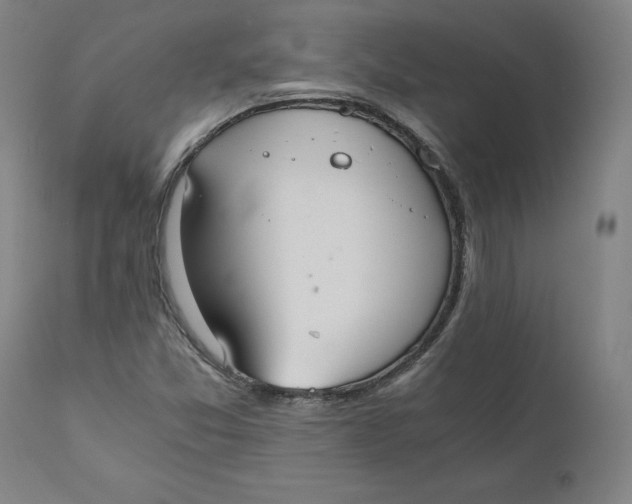 X0000110691357200907021924