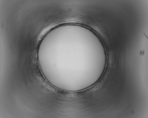 X0000110691358200907021924