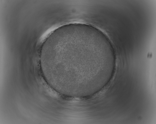 X0000110691359200907021924