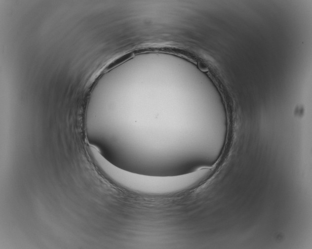 X0000110691361200907021924