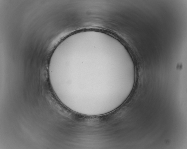 X0000110691363200907021924