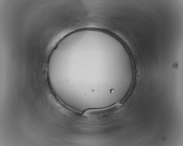 X0000110691367200907021924