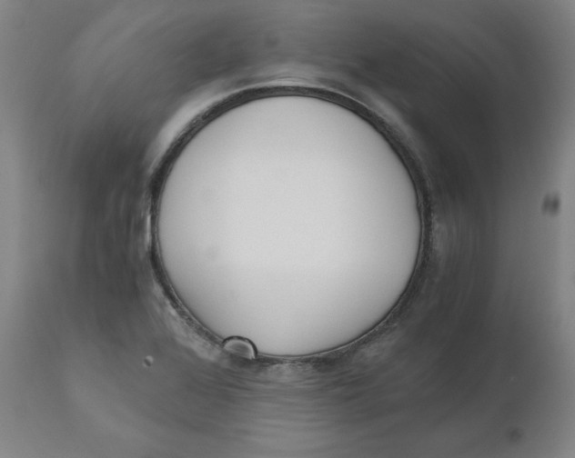 X0000110691368200907021924