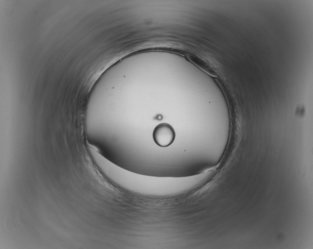 X0000110691369200907021924