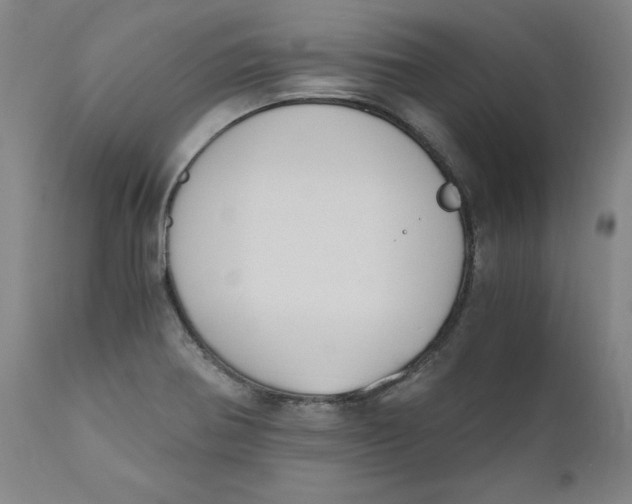 X0000110691370200907021924