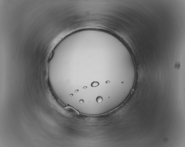 X0000110691371200907021924