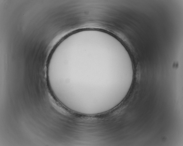 X0000110691372200907021924