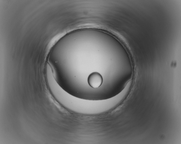 X0000110691373200907021924