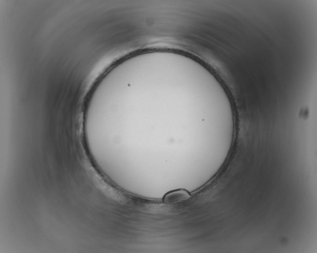 X0000110691376200907021924