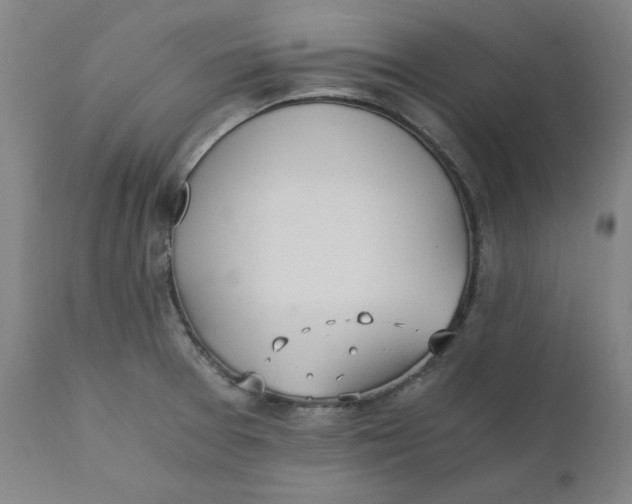 X0000110691377200907021924