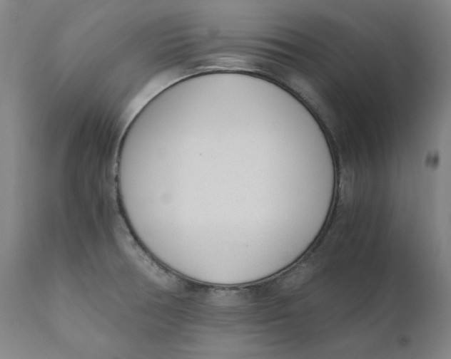 X0000110691378200907021924