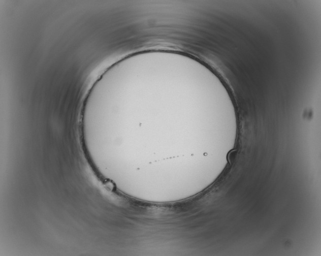 X0000110691379200907021924