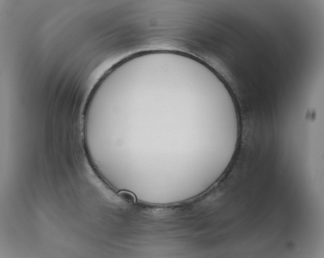 X0000110691380200907021924