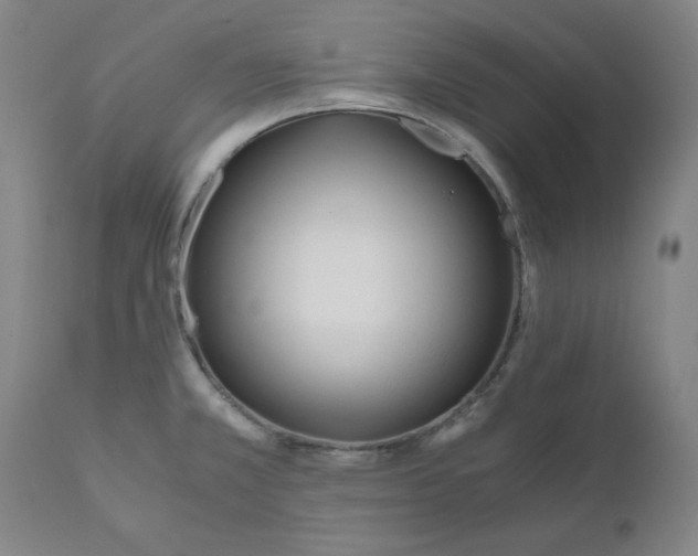 X0000110691381200907021924