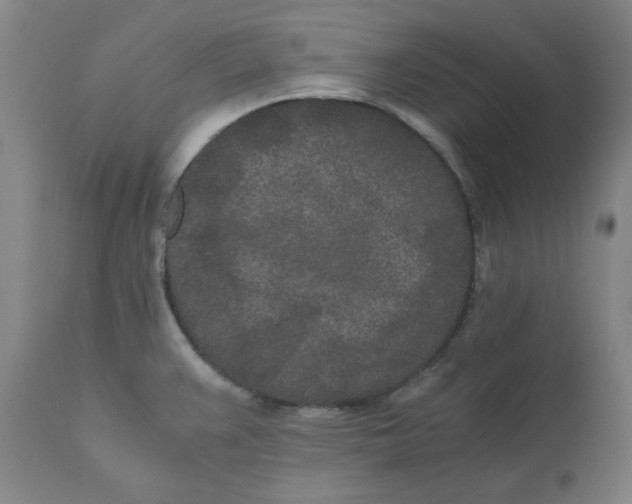 X0000110691383200907021923