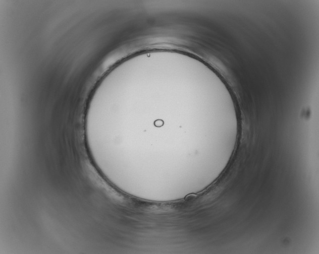 X0000110691384200907021923