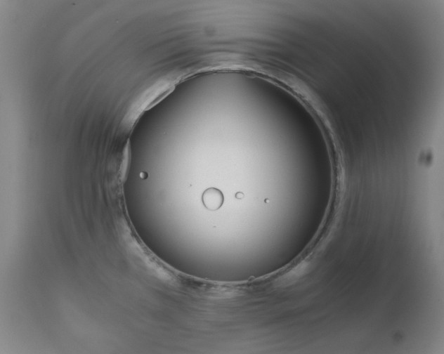 X0000110691385200907021923