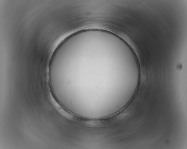 X0000110691388200907021923