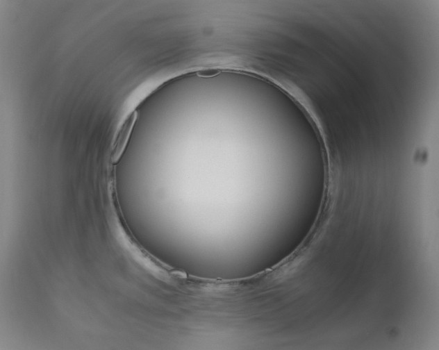 X0000110691389200907021923