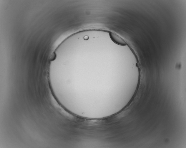 X0000110691390200907021923