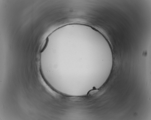 X0000110691391200907021923