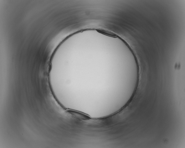 X0000110691392200907021923