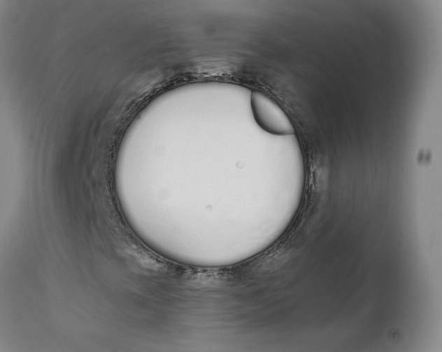 X0000110691393200907021923