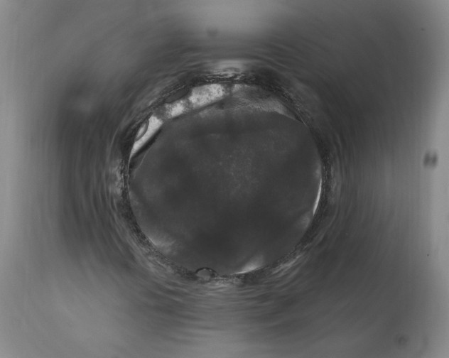 X0000110691394200907021923