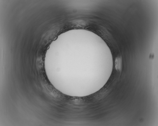 X0000110691395200907021923