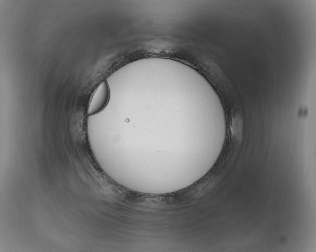 X0000110691396200907021923